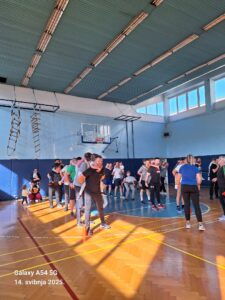 9486ed67-a976-42a1-bc87-6e5c56db1251